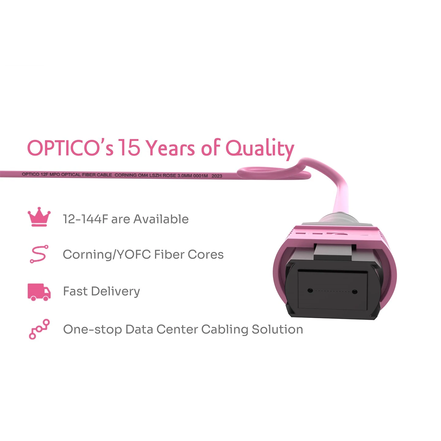 12F MTP 10G OM4 Backbone Patchcord Plenum 2m 12F MTP 10G OM4 Backbone Patchcord Plenum 2m