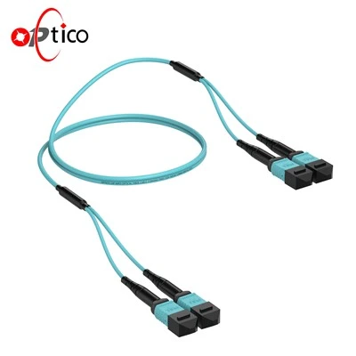 24f 2 × 12f MPO masculí-2 × 12f MPO Cable femení OM3